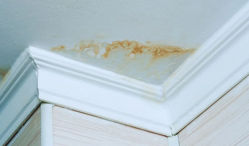 Water stains on a ceiling above crown molding