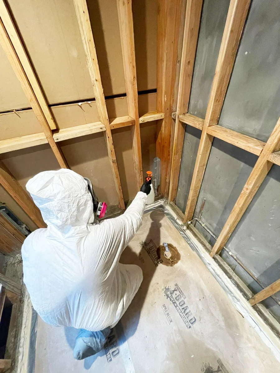 Technician treating wood framing at floor level — San Francisco, CA