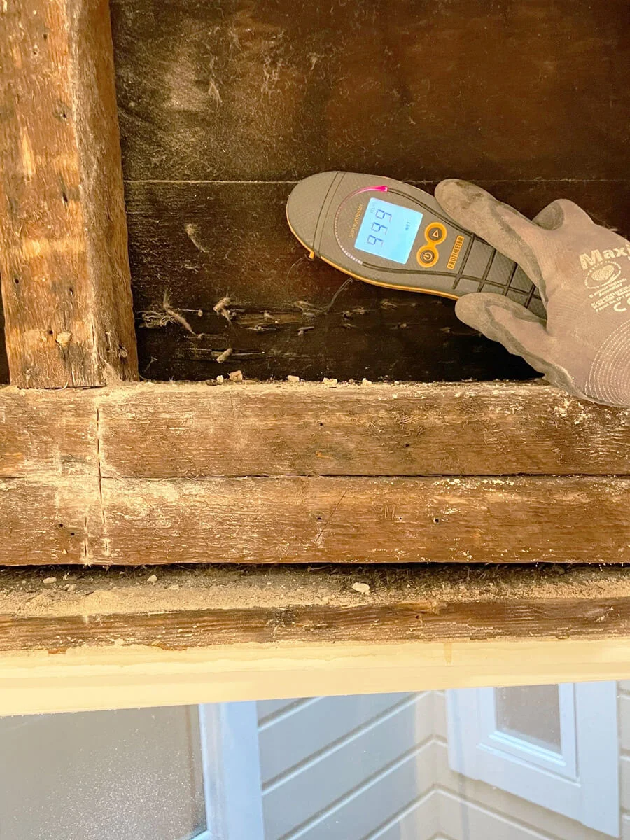 Moisture meter testing exposed wood above a window — San Francisco, CA