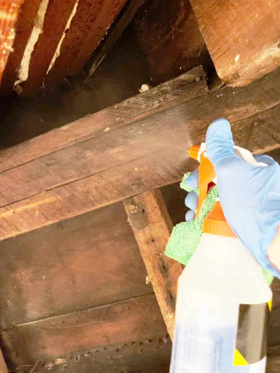 Gloved technician spraying exposed framing during mold treatment — San Francisco, CA