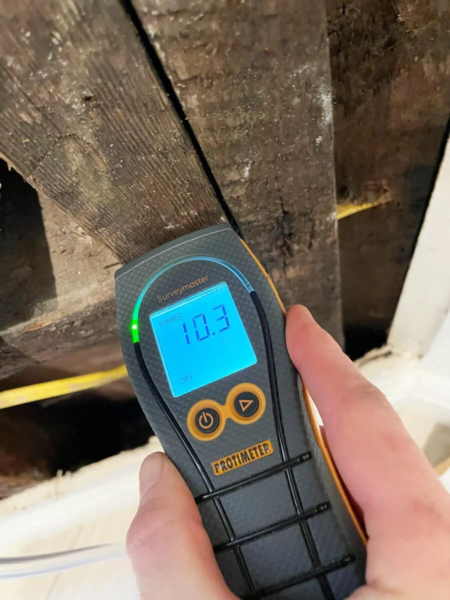 Moisture meter checking a wood wall stud — San Francisco, CA