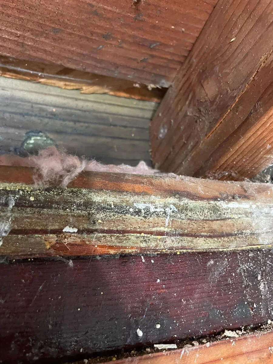 Dark staining on exposed wood at a ceiling corner — Pacifica, CA