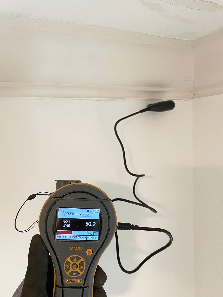 Moisture probe checking a wall below crown molding — San Francisco, CA