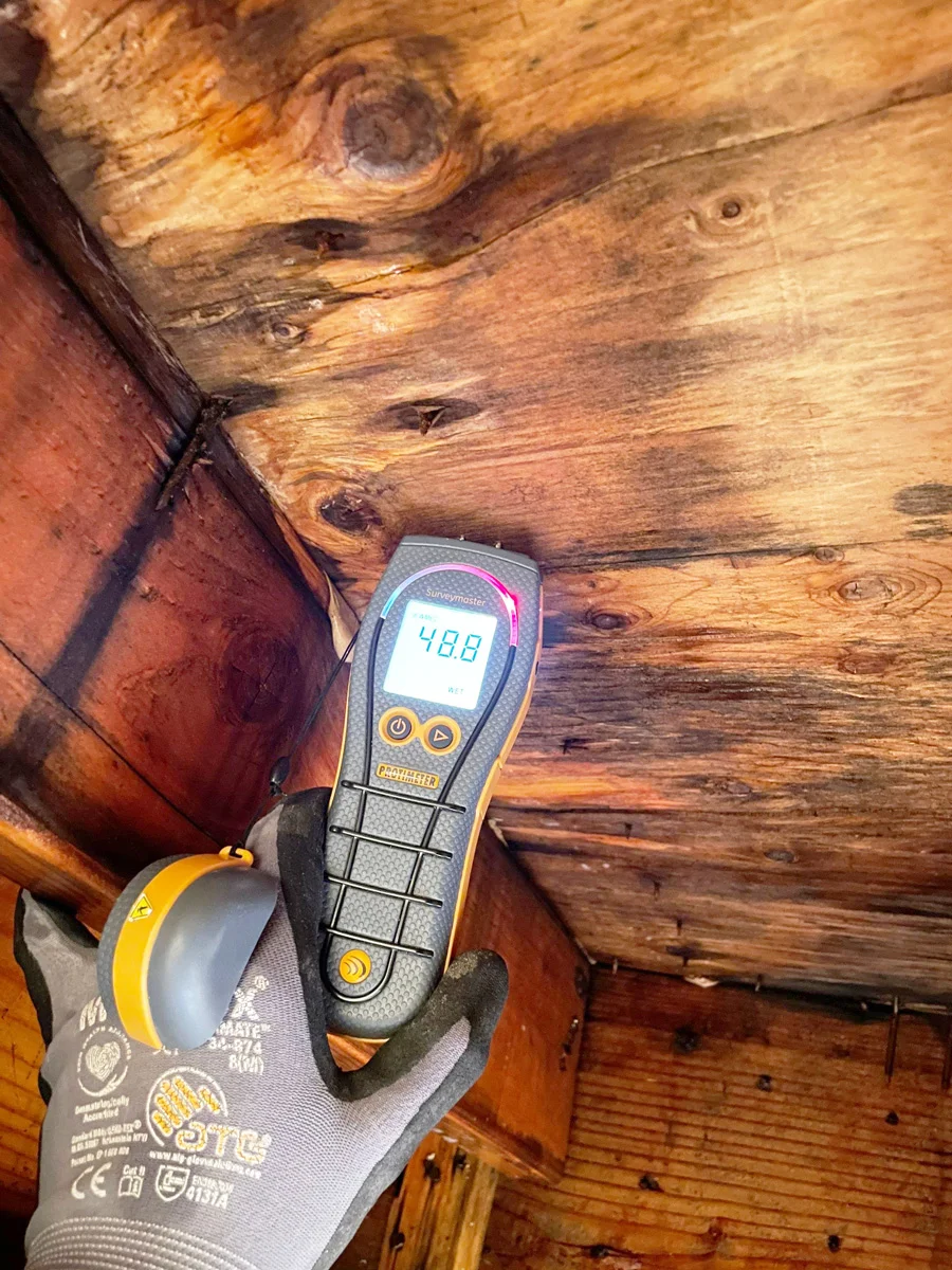 Moisture meter testing stained wood roof decking — San Francisco, CA