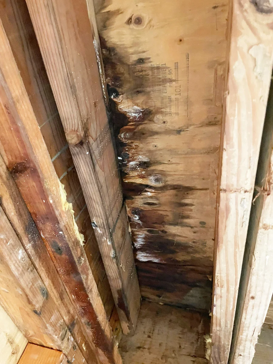 Dark staining on exposed ceiling wood — San Francisco, CA