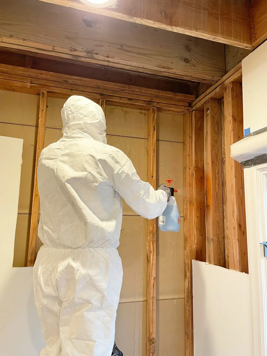 Technician spraying treatment onto exposed wall studs — San Francisco, CA
