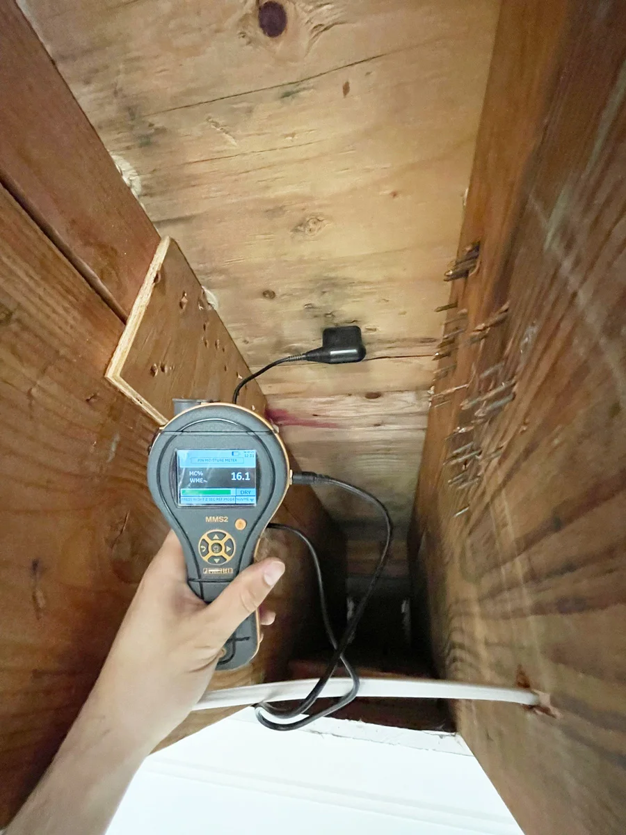 Moisture probe checking exposed wood roof decking — San Francisco, CA