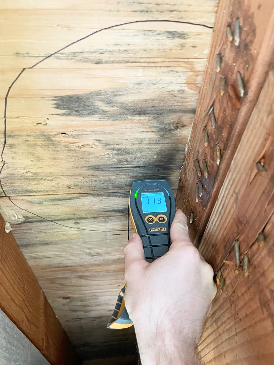 Moisture meter checking exposed wood sheathing — San Francisco, CA