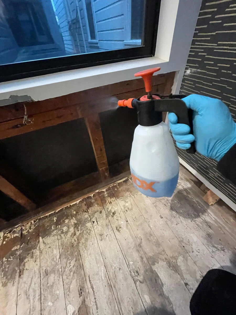 Handheld sprayer treating exposed framing below a window — San Francisco, CA