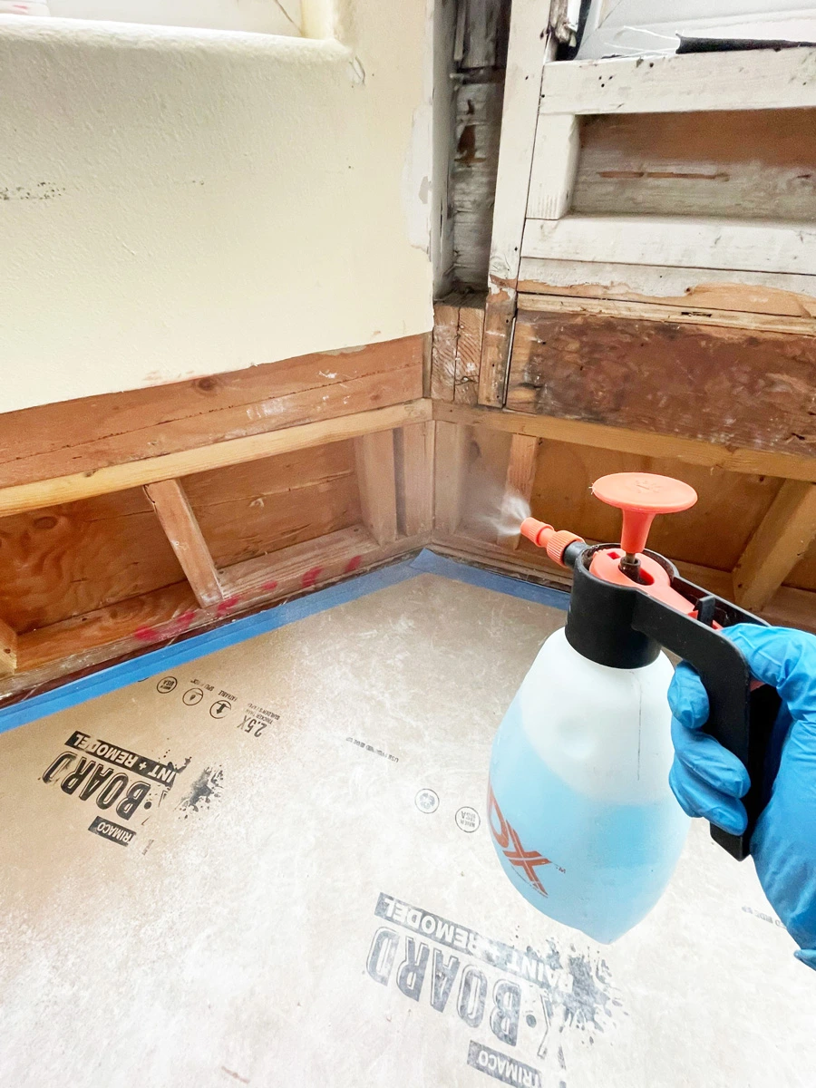 Handheld sprayer treating exposed wood below a window — San Francisco, CA